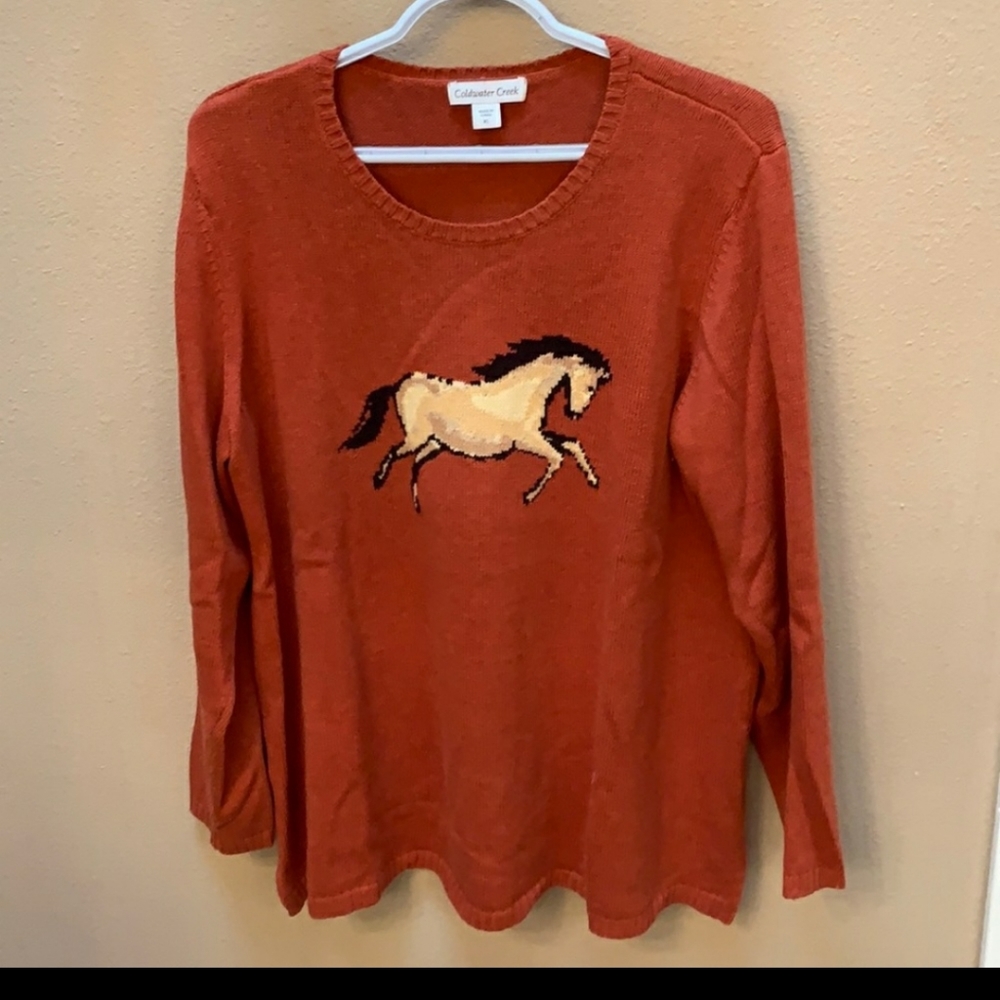 ISO IN SEARCH OF THIS COLDWATER CREEK HORSE SWEATER SZ XL